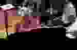 Bachiana_Jovem