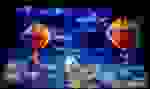 AHSF_