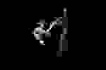 AHSF_