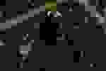 FILE_2026