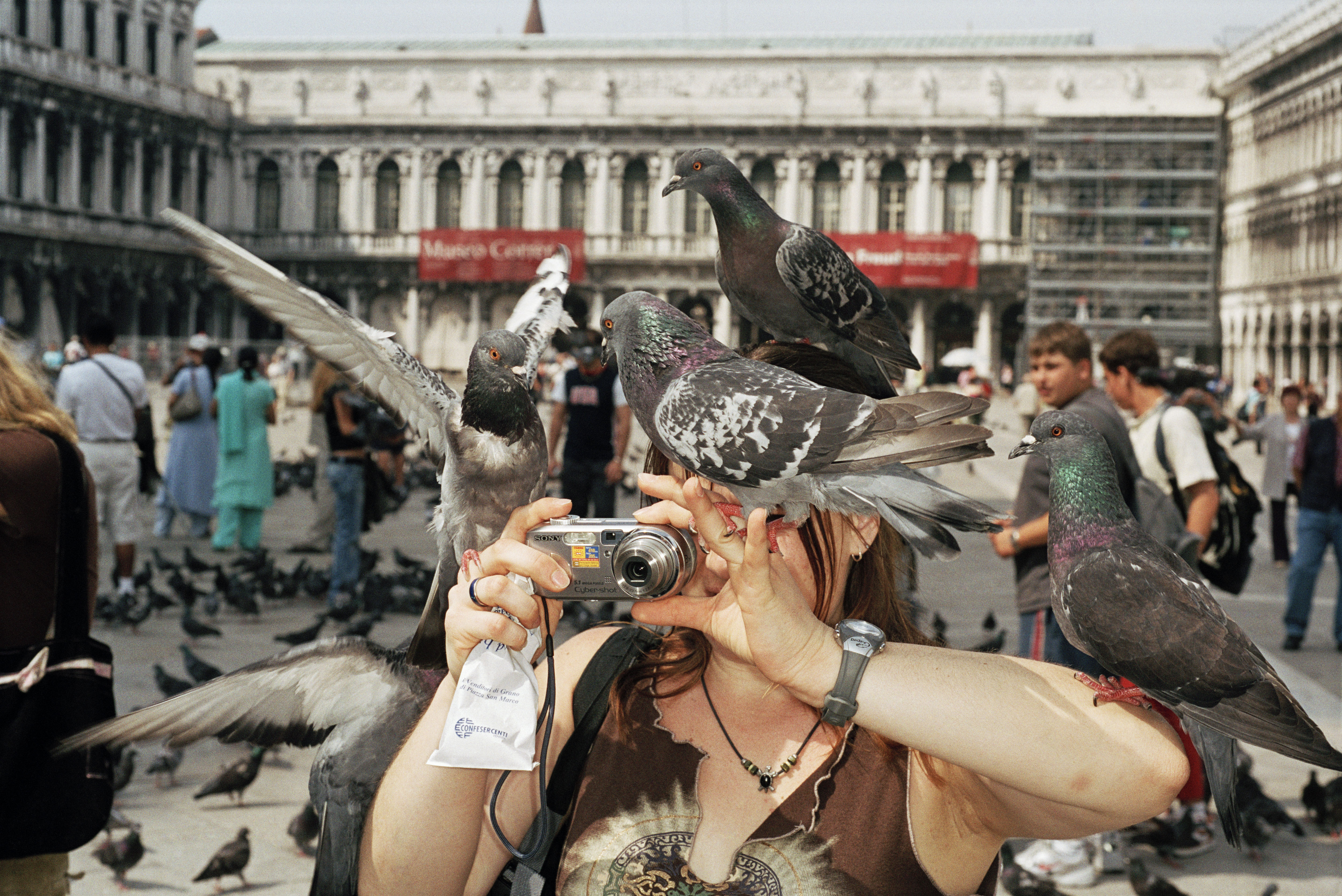 Mundo Pequeno: exposição gratuita de Martin Parr chega à Paulista