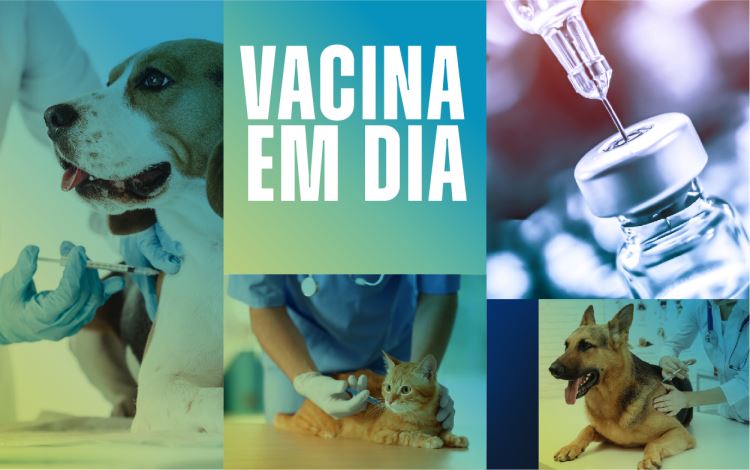 Traga seu PET para vacinar gratuitamente durante o domingo na Paulista