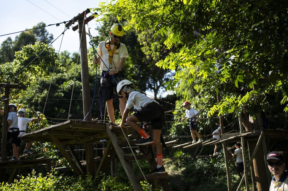 Imagem da atração Arvorismo