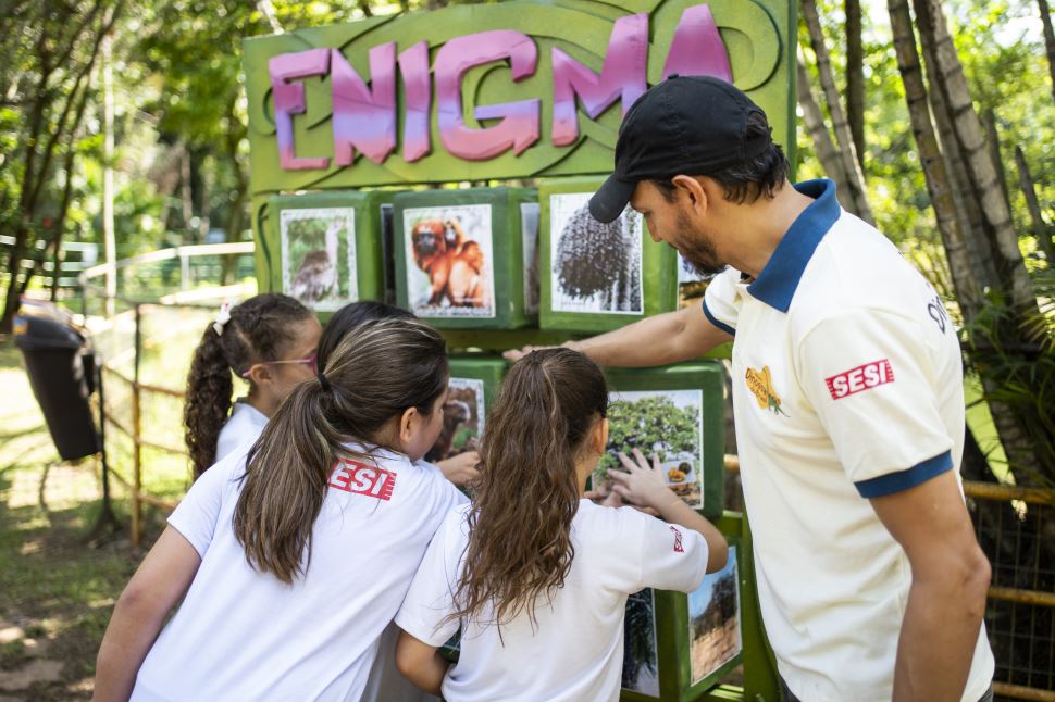 Enigma