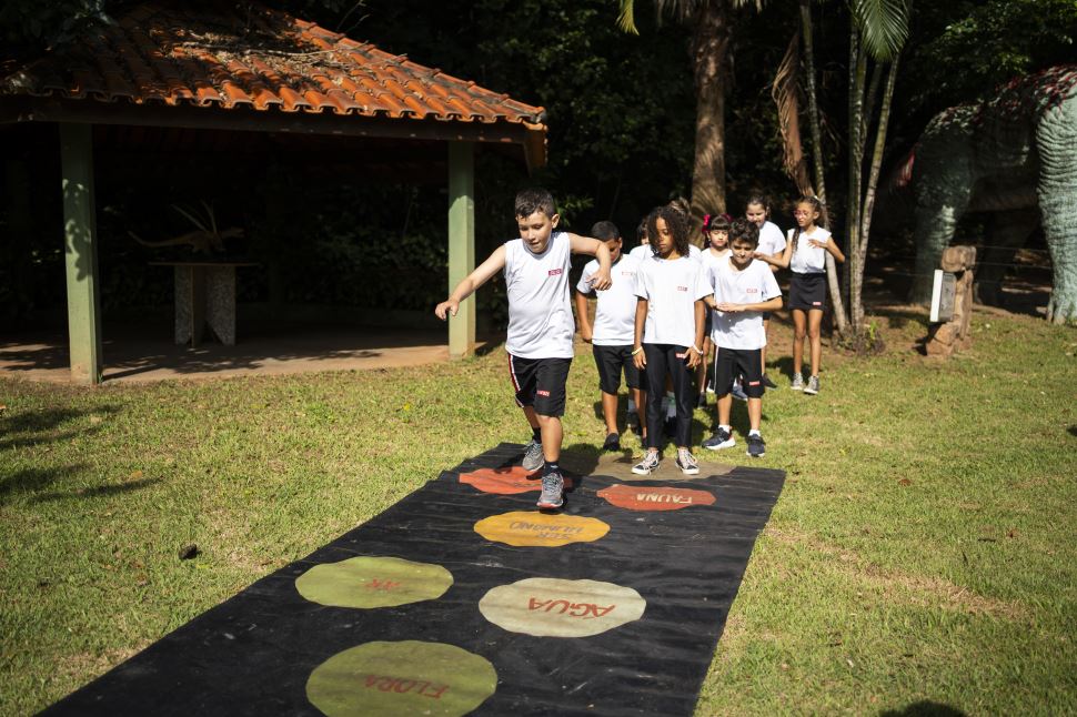 Amarelinha ambiental
