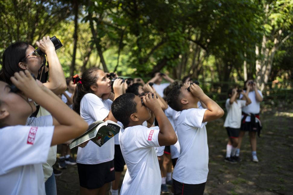 Observação de aves